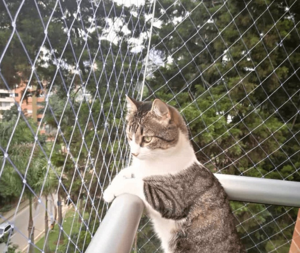 Malla especial para gatos en balcón